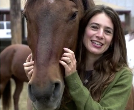 stephanie martin director independent magazine filmmakers horses wild short