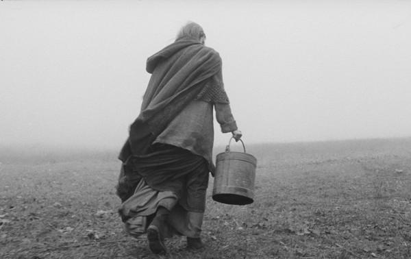 NYFF Critic’s Choice – “The Turin Horse”