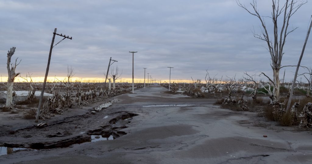 The desolate landscape captured in Homo Sapiens