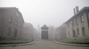 Cinematography by Harris Done, from Auschwitz