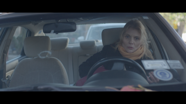 A woman sits in her parked car in the driver's seat.