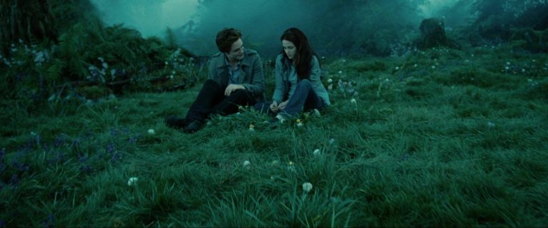 From Indie to Blockbuster: the Evolution of “The Twilight Saga”