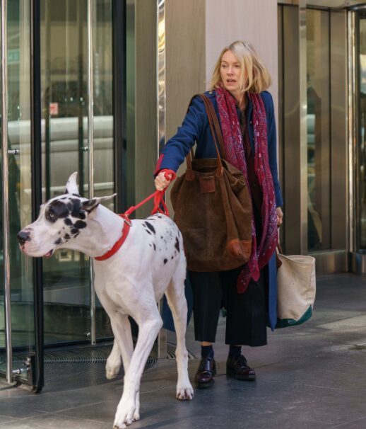 Great Dane and Naomi Watts